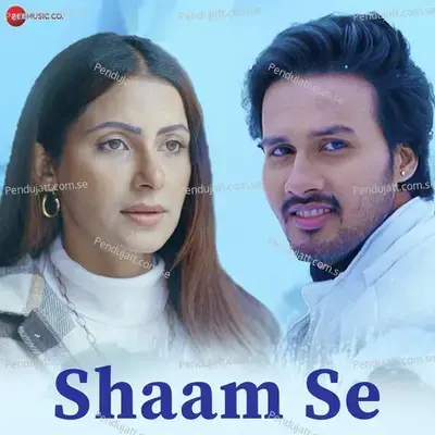 Shaam Se - Laila album cover 