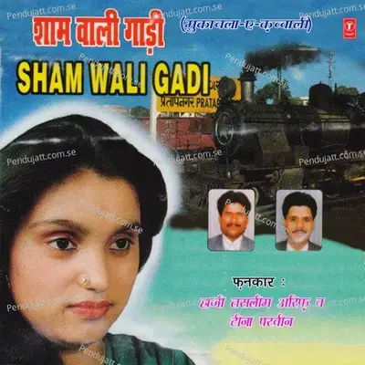 Tu Hansi Main Javan - Haji Tasleem Aarif album cover 