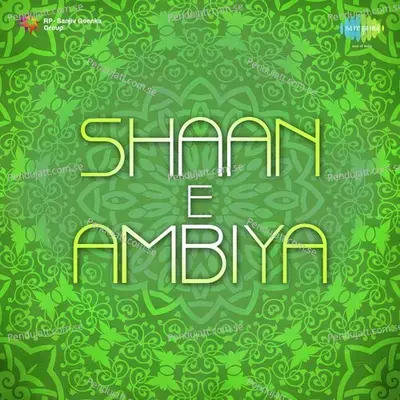 Shaan E Ambiya - Various Artists cover album