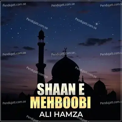 Shaan E Mehboobi - Ali Hamza album cover 