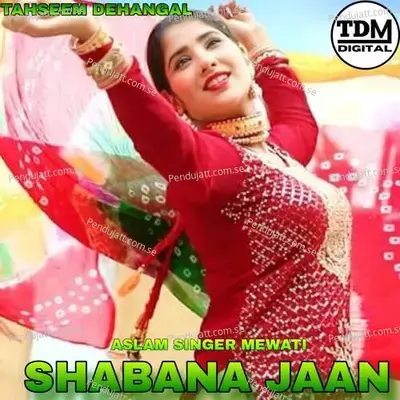 Shabana Jaan - Tahseem Dehangal album cover 