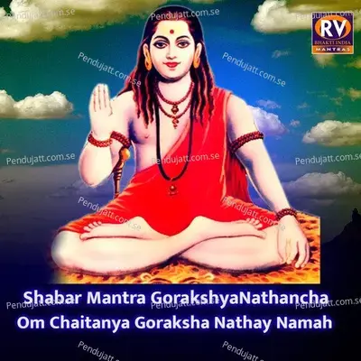 Shabar Mantra Gorakshyanathancha Om Chaitanya Goraksha Nathay Namah - Shrikrishna Sawant album cover 
