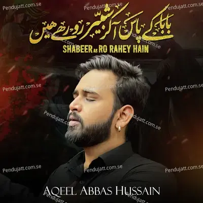 Shabeer As Ro Rahe Hain - Aqeel Abbas Hussain album cover 