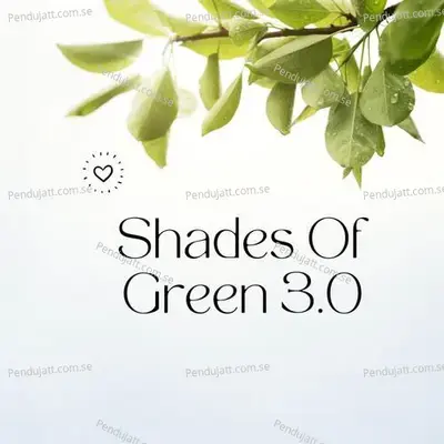 Shades Of Green 3 0 - Lakhan Hire album cover 