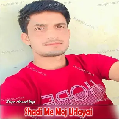 Shadi Me Moj Udayai - Avinash Yogi