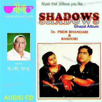 Sari Sari Raat - Dr. Prem Bhandari album cover 