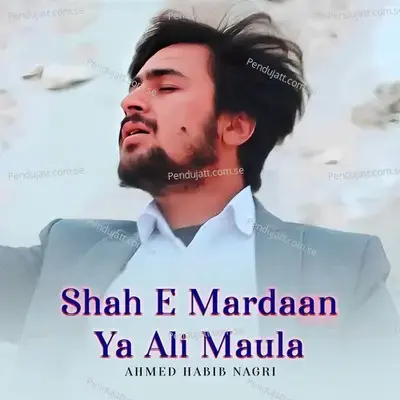 Shah E Mardaan Ya Ali Maula - Ahmed Habib Nagri album cover 