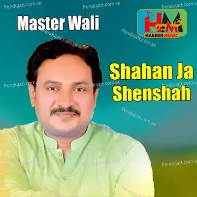 Shahan Ja Shenshah - Master Wali album cover 