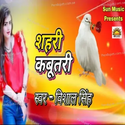 Shahari Kabootari - Vishal Singh album cover 