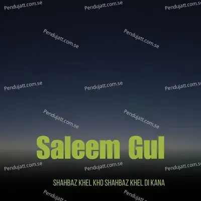 Shahbaz Khel Kho Shahbaz Khel Di Kana - Saleem Gul album cover 