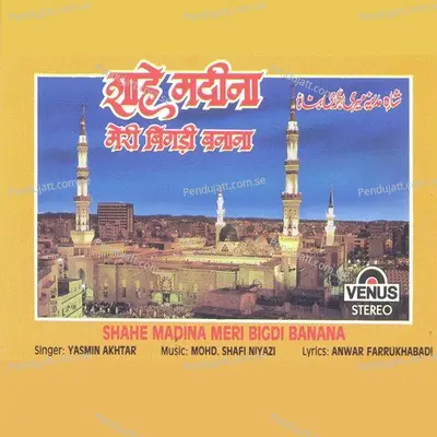 Ali Ali Maula Ali - Mohammad Tufail Niazi album cover 