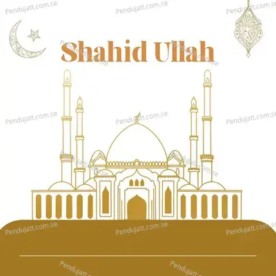 Stargi Dy Ra Wara Wa Akaa - Shahid Ullah album cover 