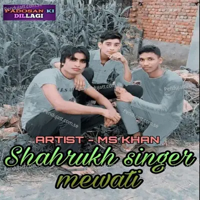 Shahrukh Singer Mewati Jodiya - MS Khan album cover 