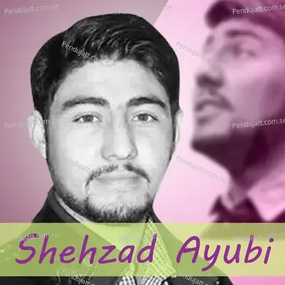 Shahzad Ayubi New Song - Shehzad Ayubi album cover 