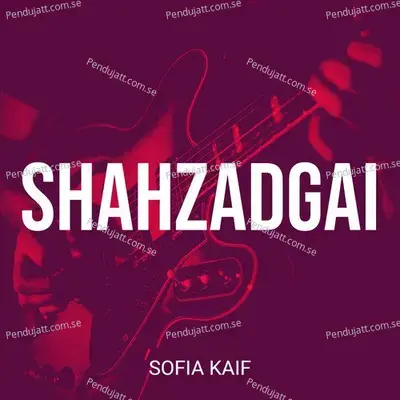 Shahzadgai mp3 song
