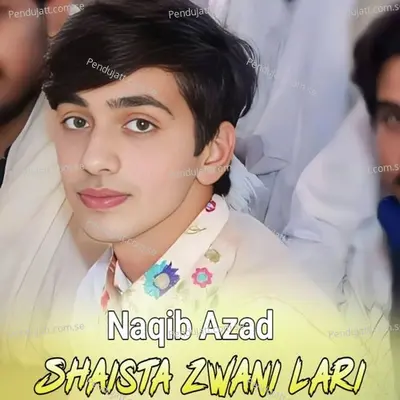 Shaista Zwani Lari - Naqib Azad cover album