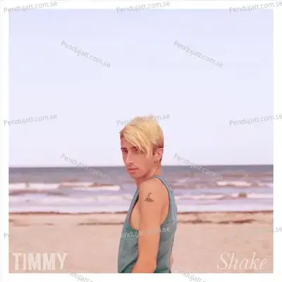 Shake - Timmy album cover 