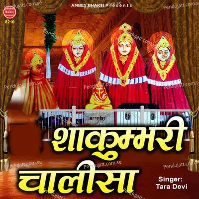 Shakumbhari Chalisa - Tara Devi album cover 