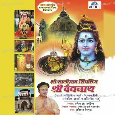 Shaligram Shivling Shri Vaidyanath - Various Artists cover album