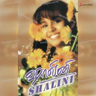 Hey Auto - Pop Shalini album cover 