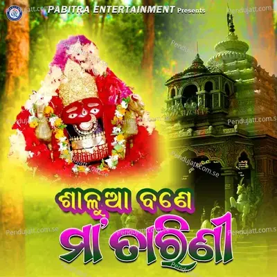 Shalua Bane Maa Tarini - Shiba Chakraborty album cover 