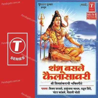 Bum Bum Bhole Shivshankara - Yogesh Tapasvi album cover 