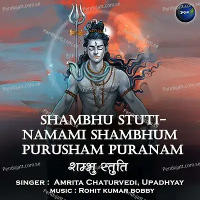 Shambhu Stuti-Namami Shambhum Purusham Puranam - Amrita Chaturvedi album cover 