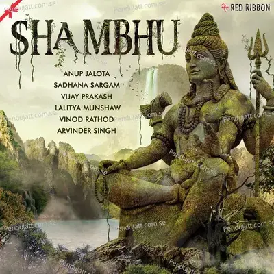 Manse Bhajo Bhole Ka Naam - Raghunath Dubey album cover 