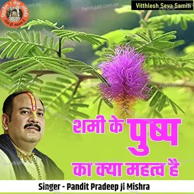 Shami Ke Pushp Ka Kya Mahatv Hai - Pandit Pradeep Ji Mishra