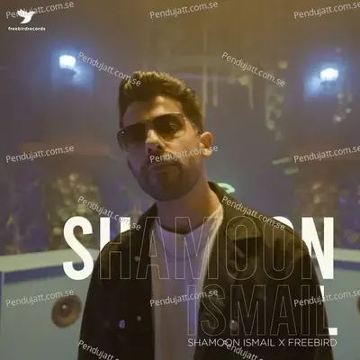 Shamoon Ismail X Freebird Music - Shamoon Ismail cover album