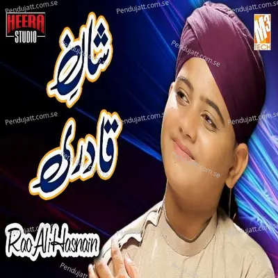 Shan E Qadri - Rao Ali Hasnain album cover 