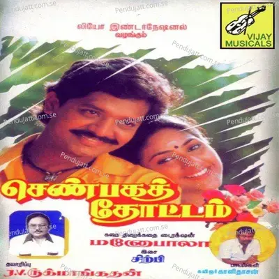 Paadum Paravaigalin Sangeetham - Sirpi album cover 