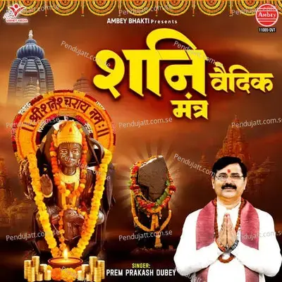 Shani Vedic Mantra - Prem Prakash Dubey album cover 