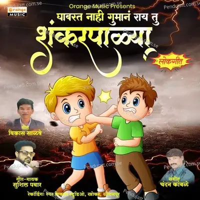 Shankar Palya - Sushil Pawar album cover 