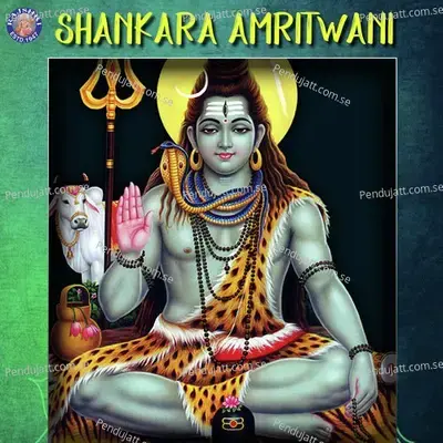 Shankara Amritwani - Various Artists cover album