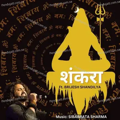 Shankara - Brijesh Shandilya album cover 