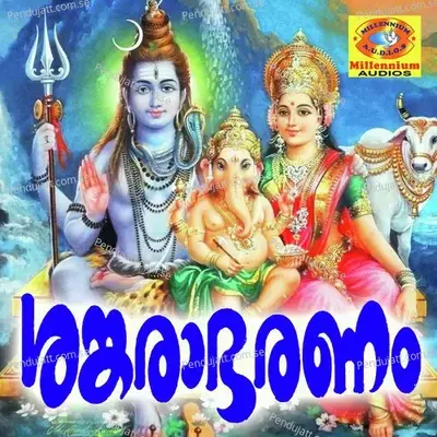 Pannakakulapathi - Veena album cover 