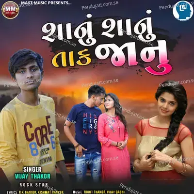 Shanu Shanu Tak Janu - Vijay Thakor album cover 