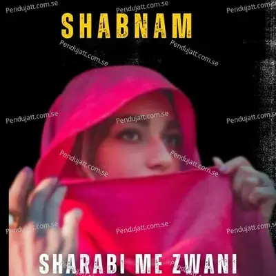 Sharabi Me Zwani - Shabnam album cover 