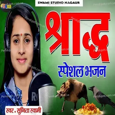 Sharad Special Bhajan - Sunita Swami album cover 