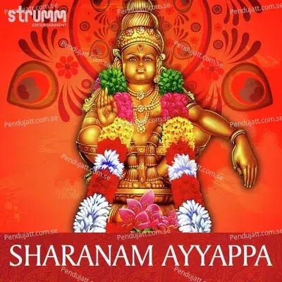 Bhoothanaadha Sadhanandha - Ayyappa Shloka - P. Unni Krishnan album cover 