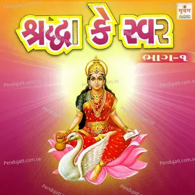 Nari Tu Narayni - Achal Mehta album cover 