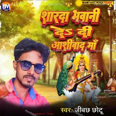 Shardha Bhawani De Di Ashirwaad Maa - Jibachh Chhotu album cover 