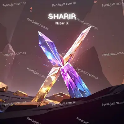 Sharir - NIBIR X album cover 