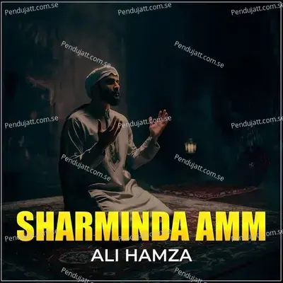 Sharminda Amm - Ali Hamza album cover 