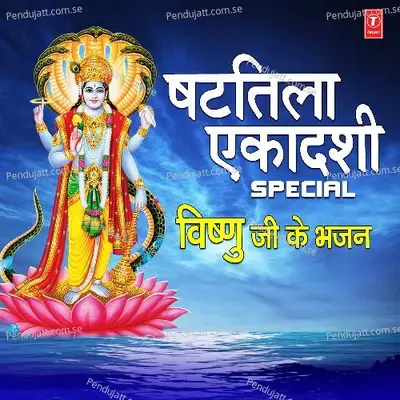 Shattila Ekadashi Special Vishnu Ji Ke Bhajans - Anuradha Paudwal cover album