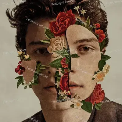 Shawn Mendes  Deluxe  - Shawn Mendes cover album
