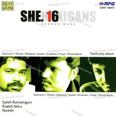 Thiruda Remix - Sulabha album cover 