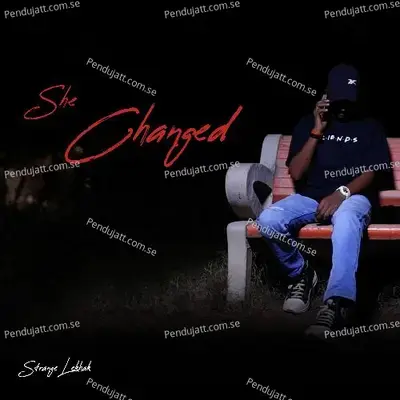 She Changed - Strange lekhak album cover 