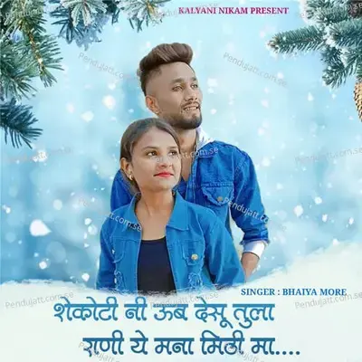 Shekoti Ni Uad Desu Tula - Bhaiya More album cover 